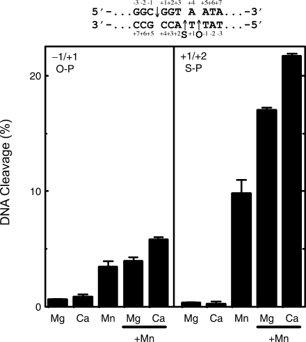 Figure 6.