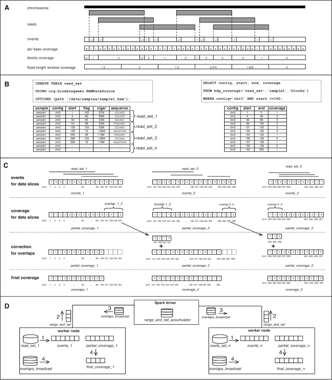 Figure 1: