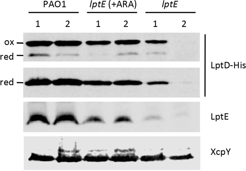 Figure 6.