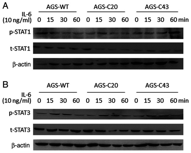 Figure 5.