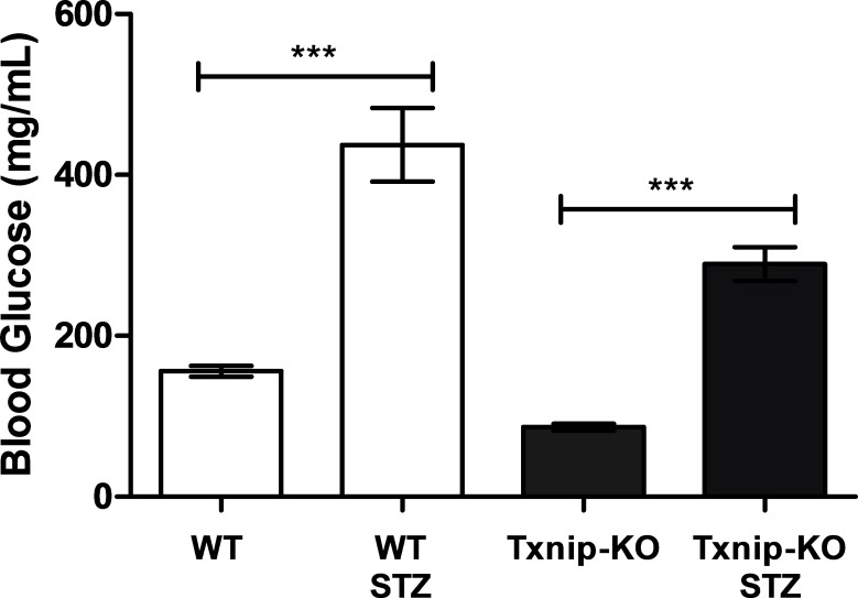 Figure 5—figure supplement 1.