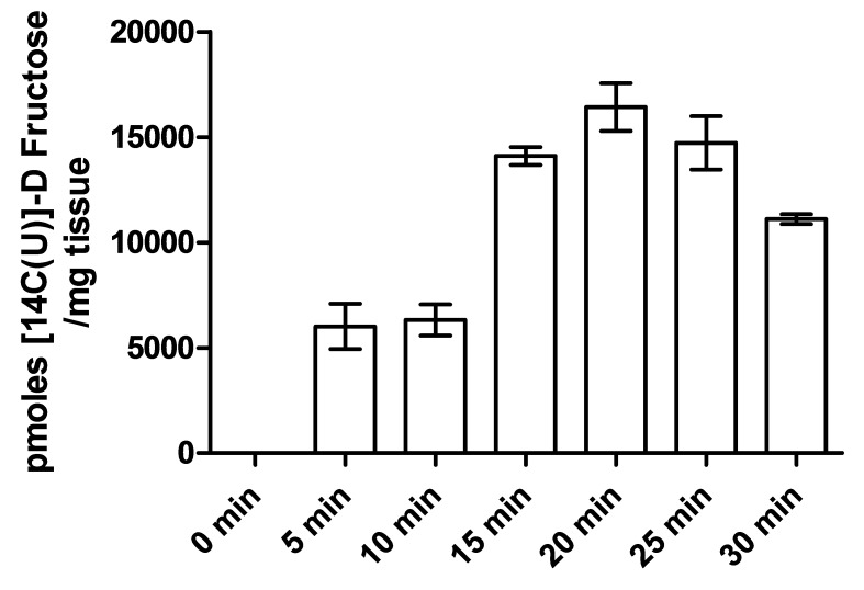 Figure 2—figure supplement 2.