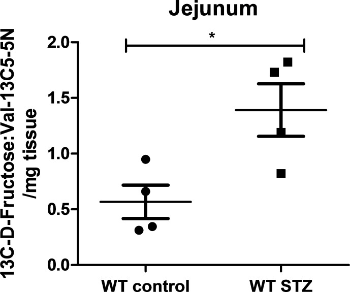 Figure 5—figure supplement 2.