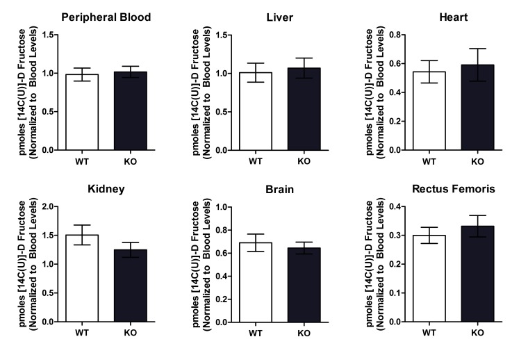 Figure 2—figure supplement 1.