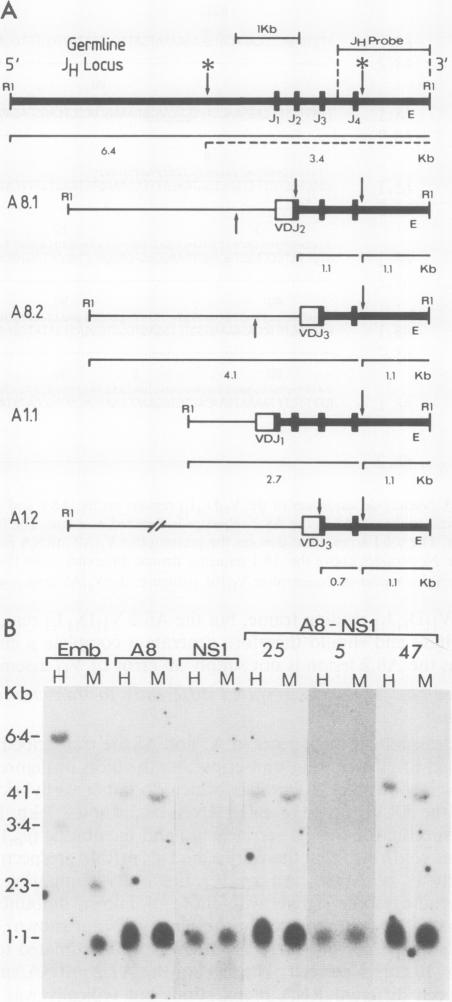 Fig. 6.