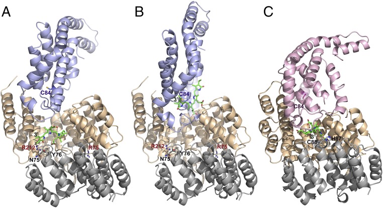 Fig. 2.