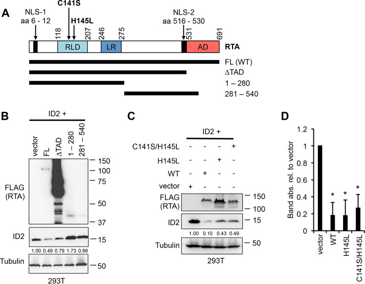 FIG 6