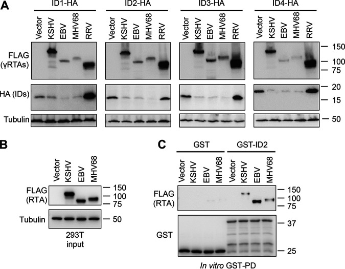 FIG 9