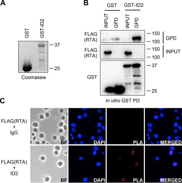 FIG 3