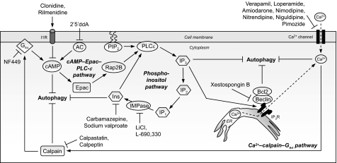 FIGURE 3.