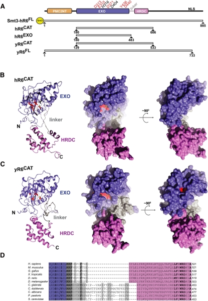 FIGURE 1.