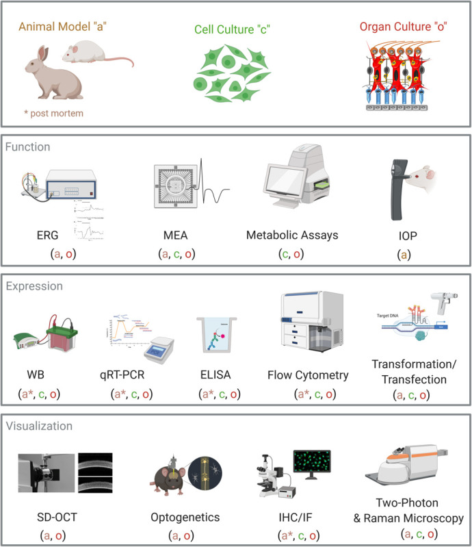 FIGURE 1