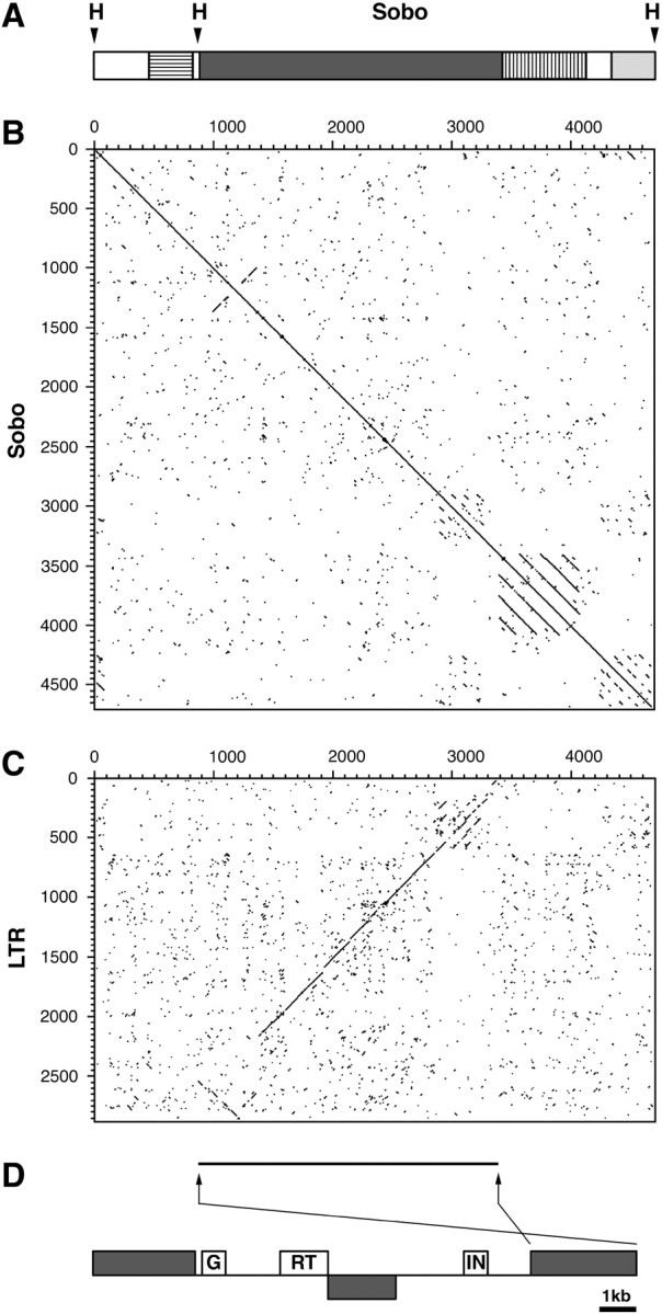 Figure 3.—