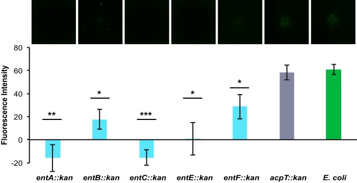 FIG 2