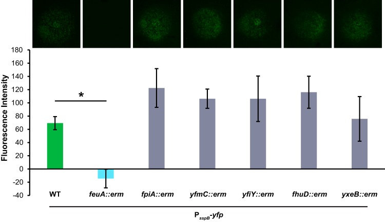 FIG 6