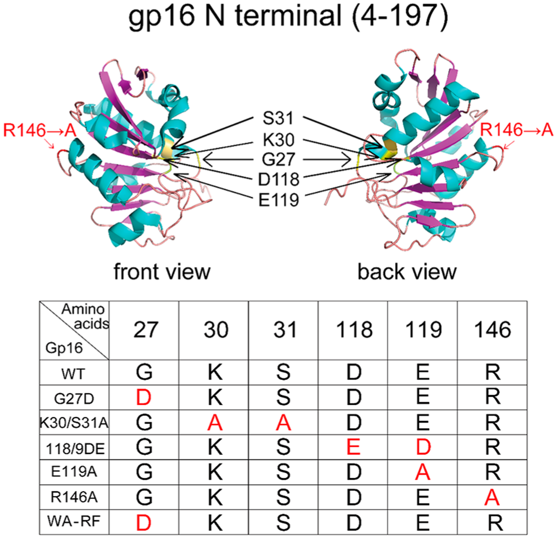 Figure 6.