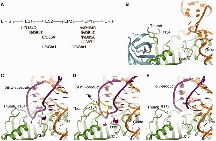 Figure 7.