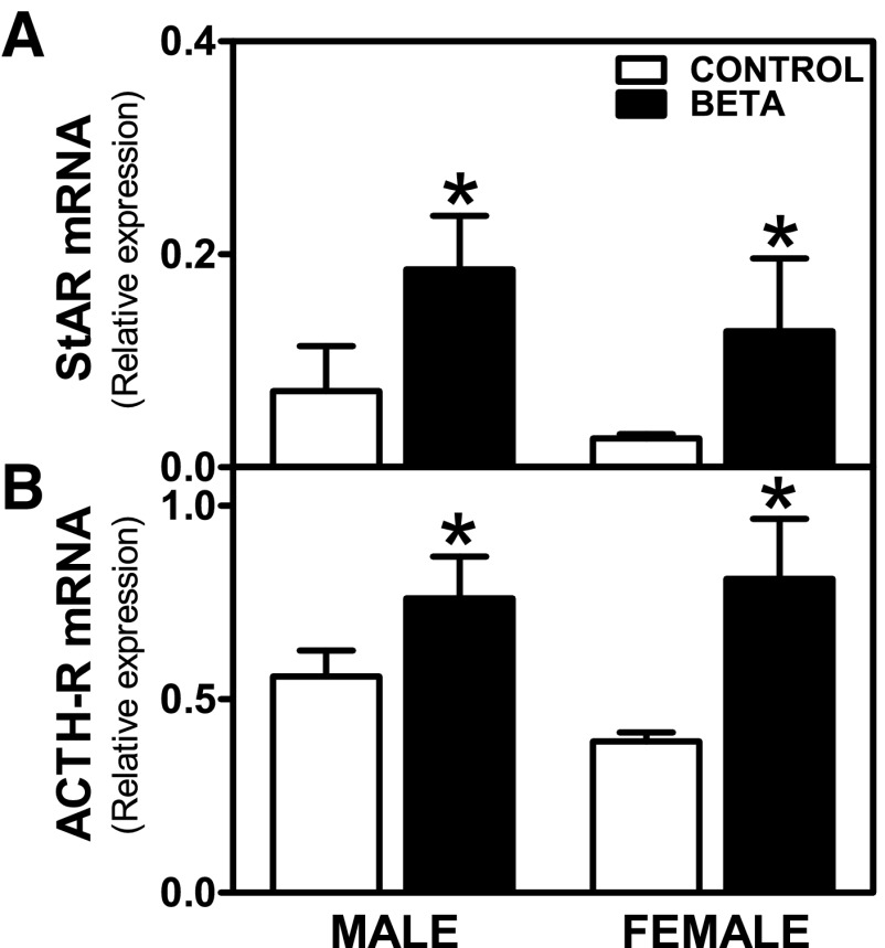 Fig. 7.