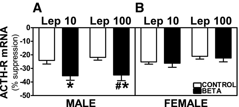 Fig. 11.