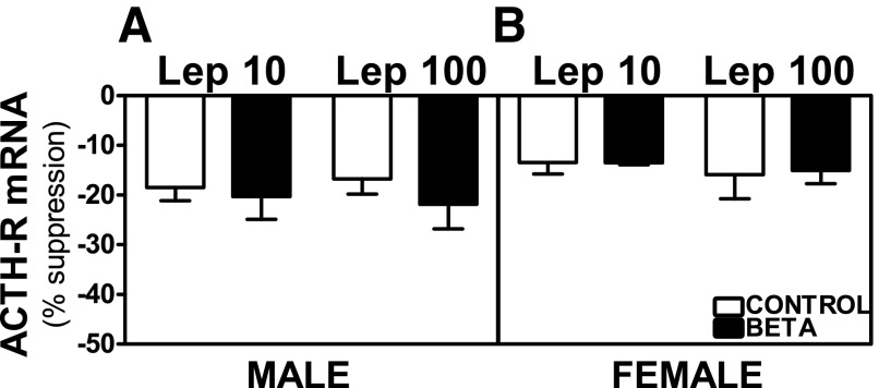 Fig. 10.