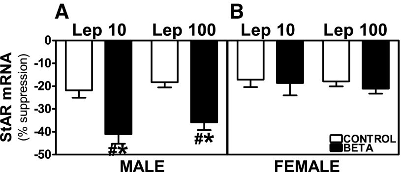 Fig. 9.