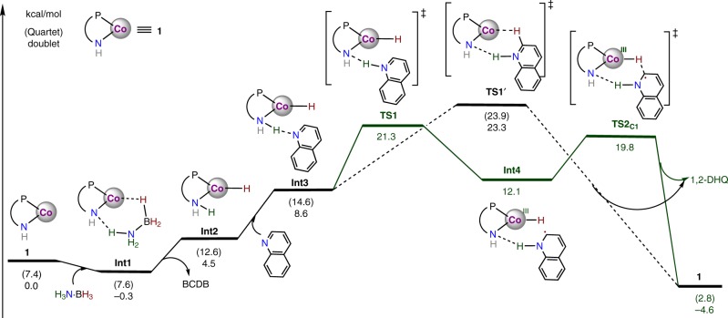 Fig. 7