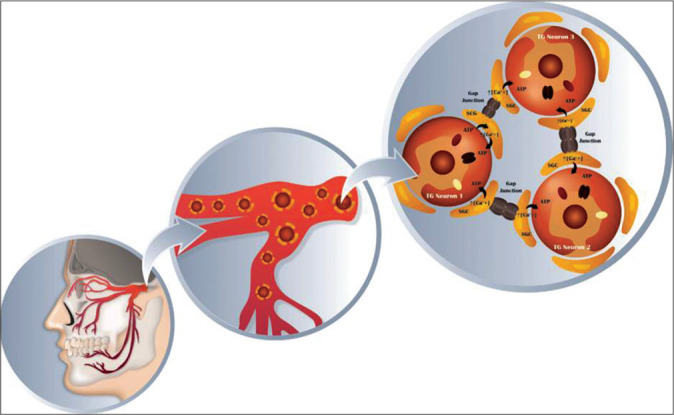 Figure 2: