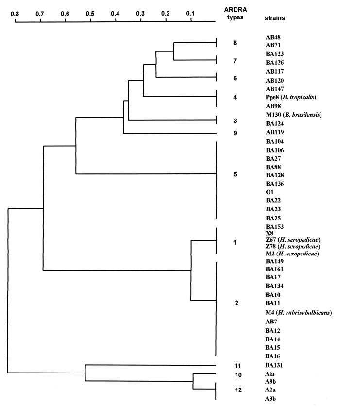 FIG. 1