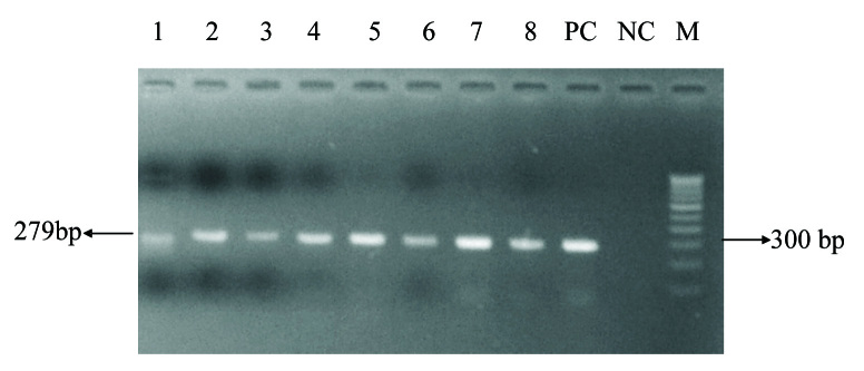 [Table/Fig-1]: