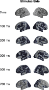 Figure 2—figure supplement 4.