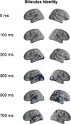 Figure 2—figure supplement 5.