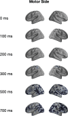 Figure 2—figure supplement 7.