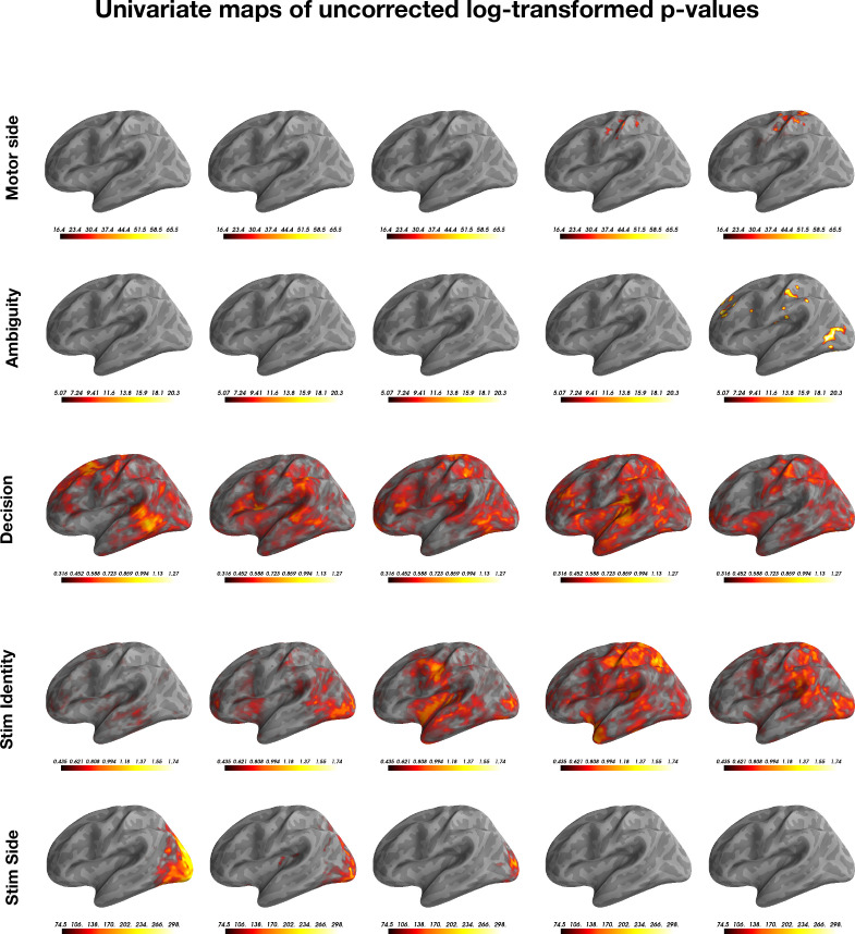 Figure 2—figure supplement 10.