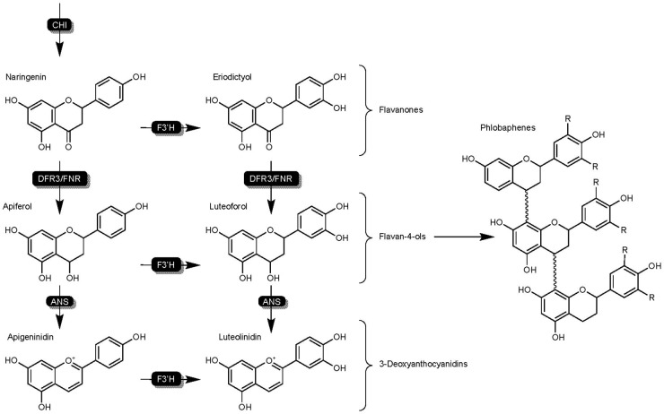 FIGURE 4