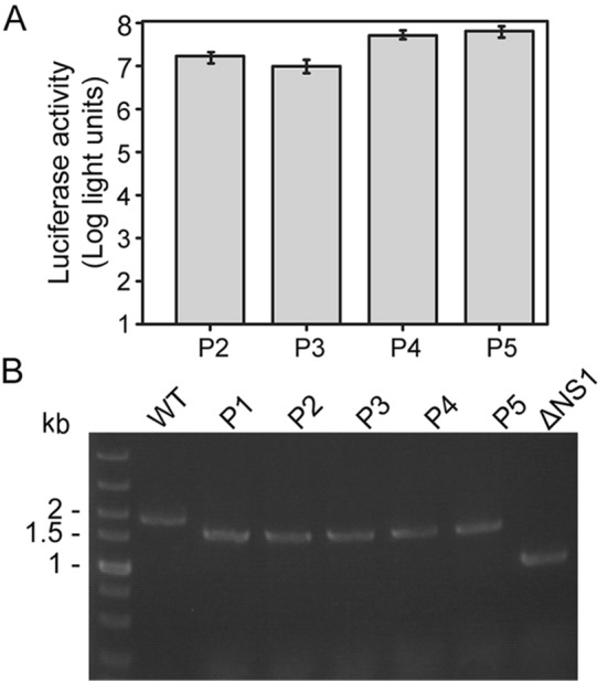 Fig. 5