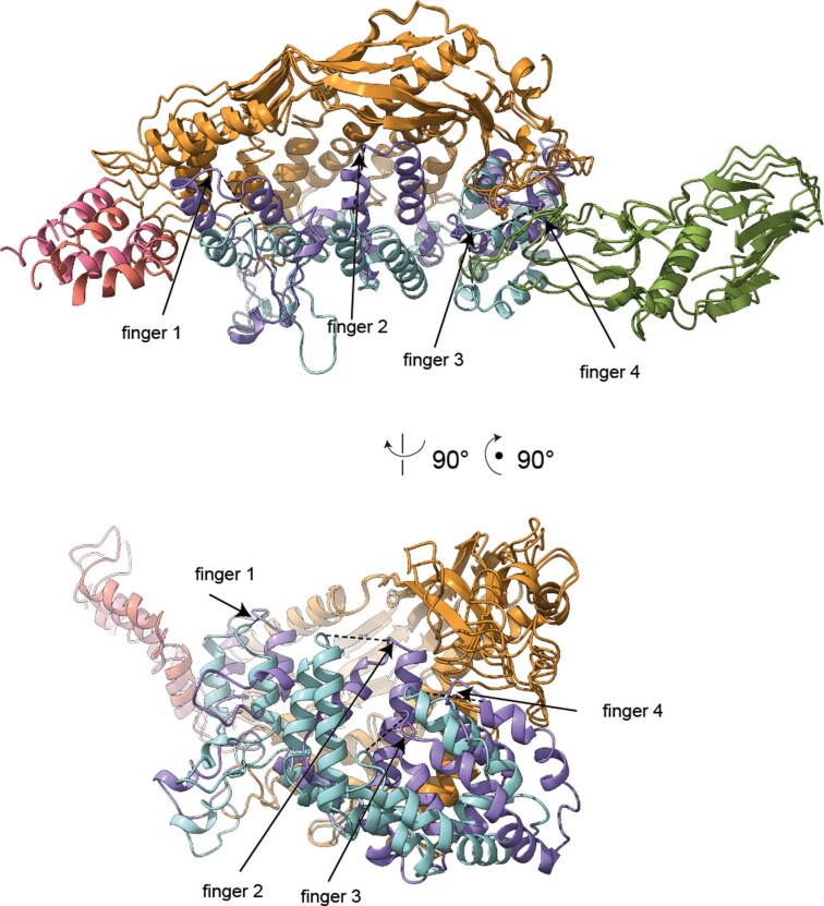 Extended Data Fig. 8