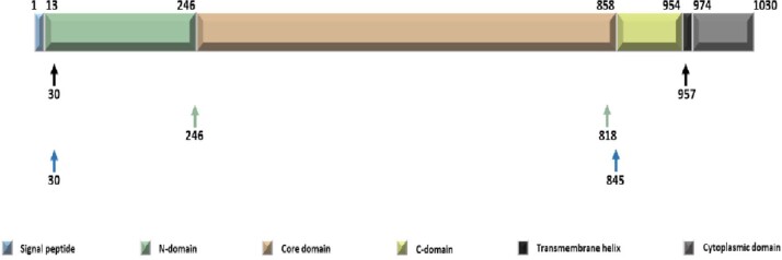 Extended Data Fig. 1