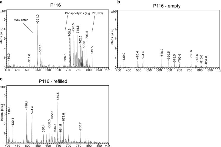 Extended Data Fig. 5