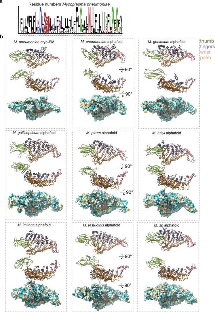 Extended Data Fig. 6