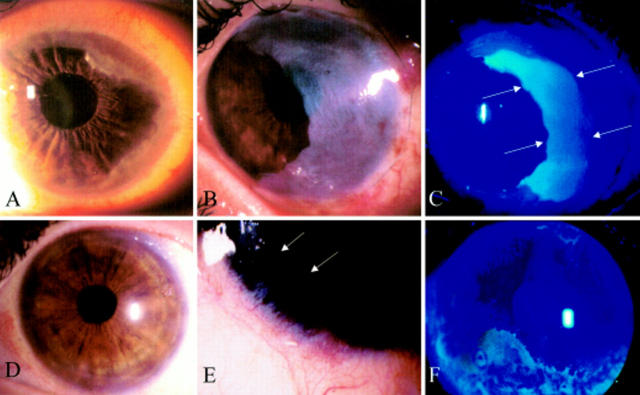 Figure 3  