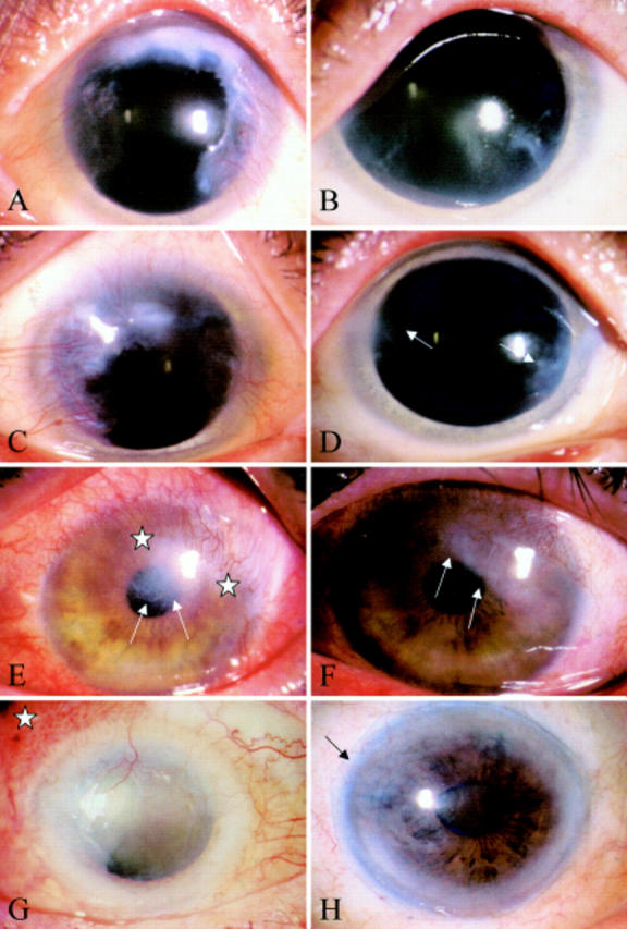 Figure 2  