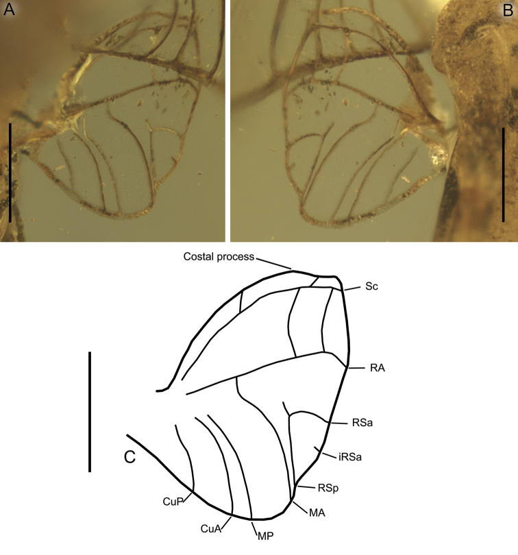 Figure 9.