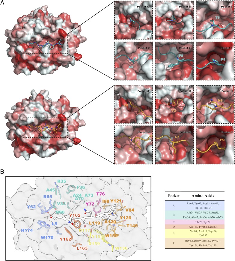 FIGURE 3.