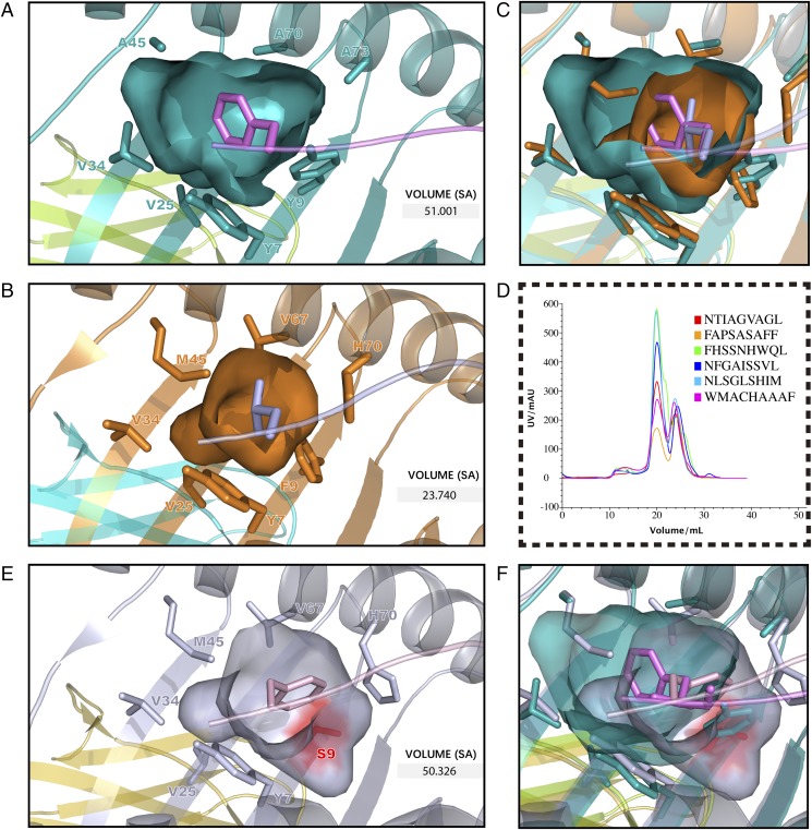 FIGURE 4.