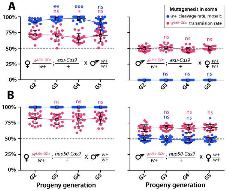 Figure 3—figure supplement 1.