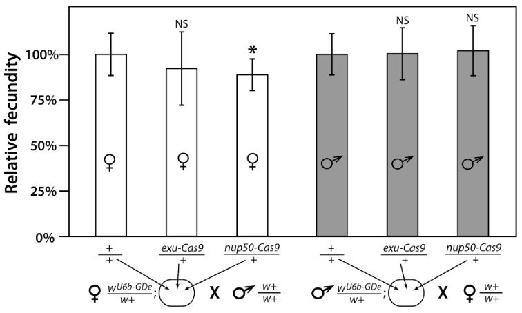 Figure 4—figure supplement 2.