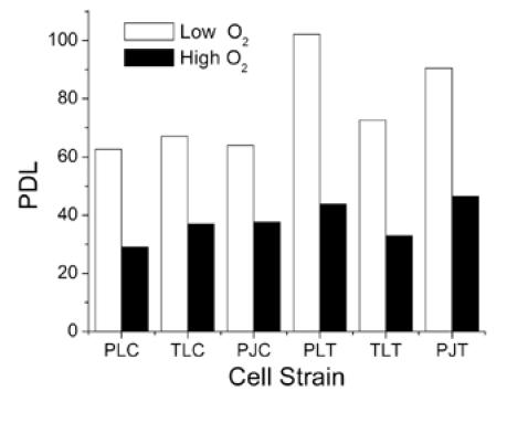 Figure 1A