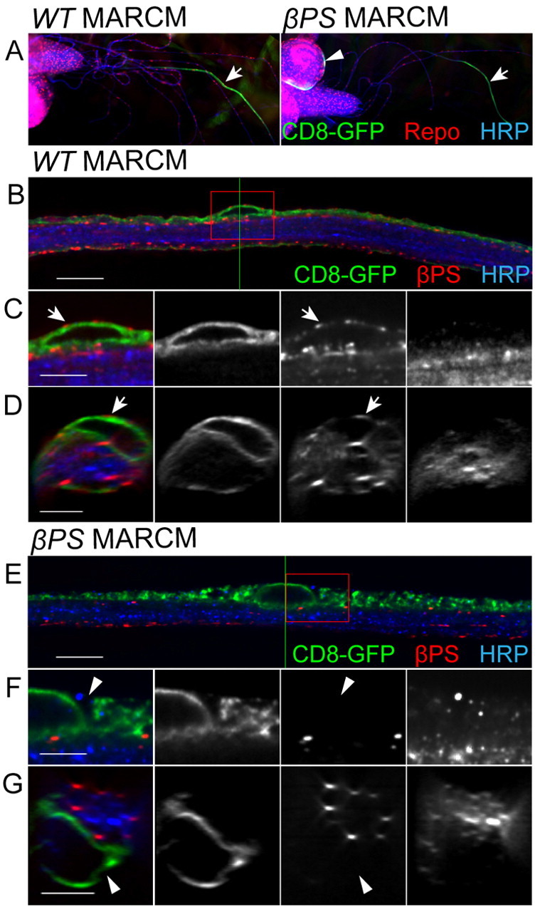 Fig. 4.