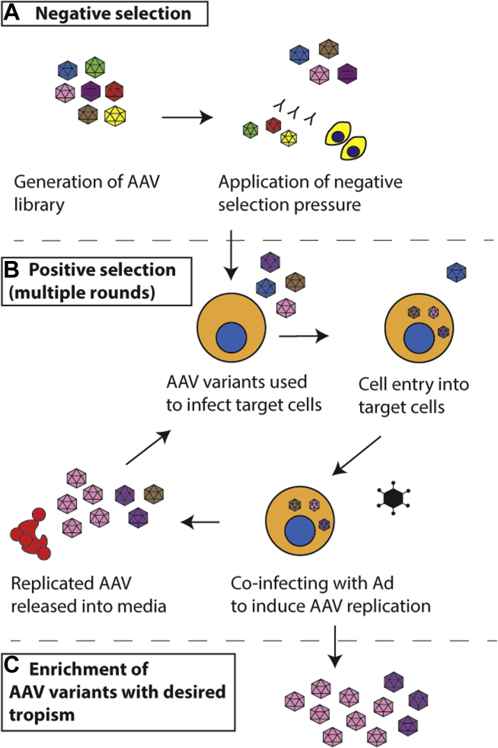 Figure 2