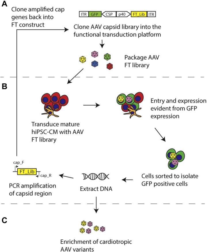 Figure 3